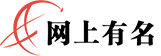 网上有名支付