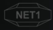 Net 1支付
