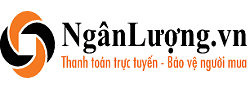 NganLuong支付