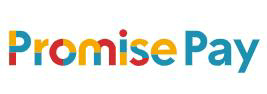 Promise pay支付