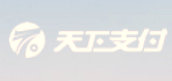 天下支付支付