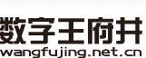 数字王府井支付